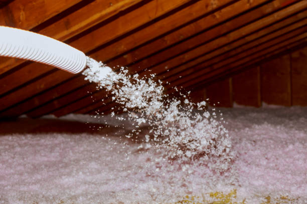 Best Spray Foam Insulation  in Thornton, CO