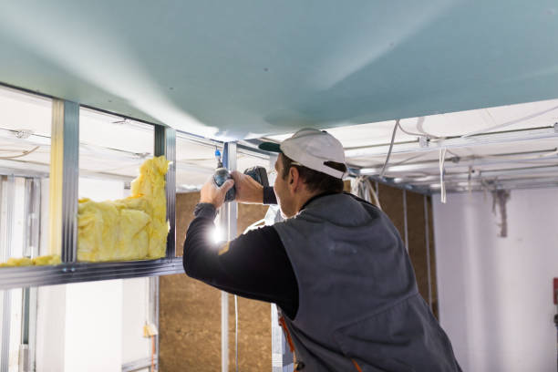 Best Best Insulation Companies  in Thornton, CO