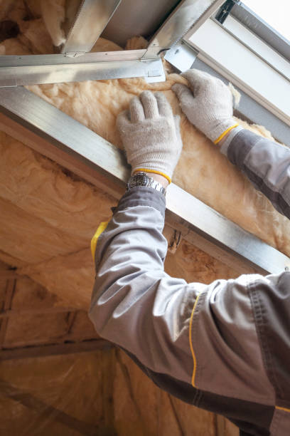 Best Fiberglass Insulation  in Thornton, CO