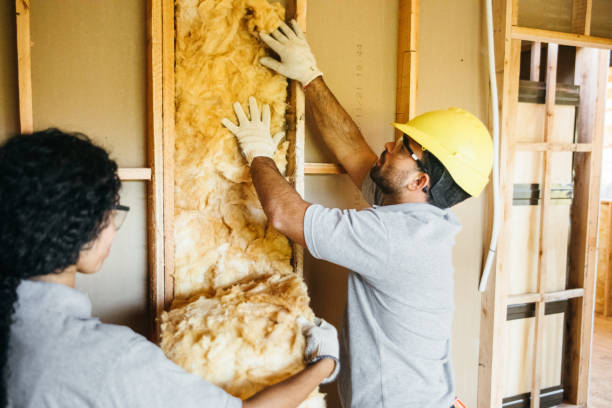 Best Garage Insulation Installation  in Thornton, CO