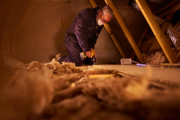 Best Attic Insulation Installation  in Thornton, CO